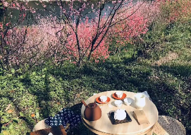 桃花源里賞花、 探春、 圍爐煮茶，私享浪漫情人節！